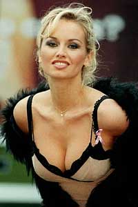 wonderbra.jpg