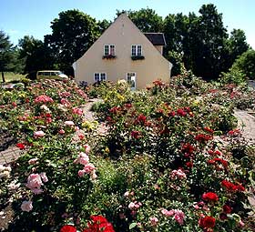 F� ORDEN P� HAGEN:  Her fra herreg�rden R�ed, p� Jel�ya i �stfold.