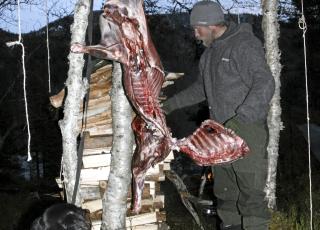 KJ�TTMAT: H�sten ble brukt til jakt for � fylle kj�ttlageret. Foto: Dag Kjelsaas