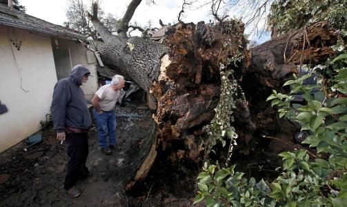 ENORME KREFTER: Her har et tre brast inn i et hus i Fair Oaks i California. Foto:  Steve Yeater/AP/Scanpix