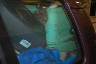 TRANGT:Den tyske familien som skulle flytte til Norge tok med seg alle sine firbeinte venner p� flyttelasset. Da tollerne stoppet bilen var den full av dyreekskrementer. Foto: Tollvesenet