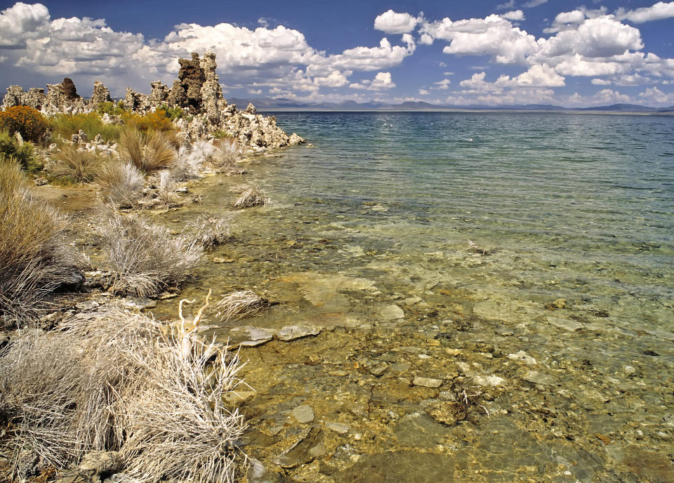 HER LETER DE ETTER UKJENTE FORMER FOR LIV: Mono Lake i California har noen merkelige mikrober som gafler i seg arsenikk uten problemer. Kan dette v�re en livsform med et annet opphav enn v�rt? Foto: WIKIMEDIA
