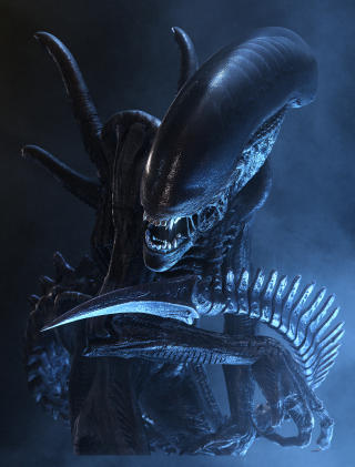 SEXY TEMA: Utenomjordisk liv er et gjengangertema i Hollywood. Dette er fra filmen Aliens vs. Predator. Foto: FILMWEB