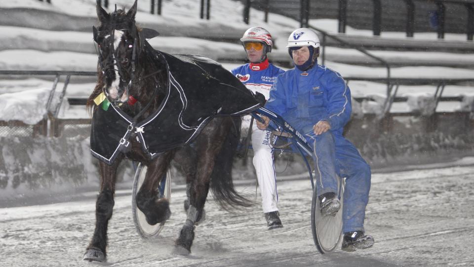 GOD TUR TIL PARIS. Her er tre gutter som vil til Vincennes. Billetten skal Trollgutt fikse med � vinne V75-2 p� Jarlsberg l�rdag. Foto:HESTEGUIDEN.COM.