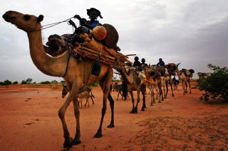 �RKENSPREDNING? I mange ti�r har �rkenspredningen i Sahara utl�st st�ttemilliarder til skogplantning. Men i virkeligheten skrumper �rkenen i Sahel, det er p� grunn av global oppvarming. Foto: REUTERS/Finbarr O'Reilly