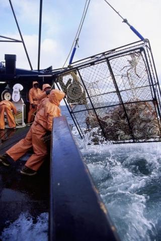 T�FFE FORHOLD: Krabbefiske er ikke en kontorjobb. Foto: DISCOVERY CHANNEL