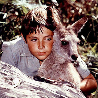 BEKJEMPET KRIMINELLE: Sonny og Skippy s�rget for ro og orden i Waratah National Park.