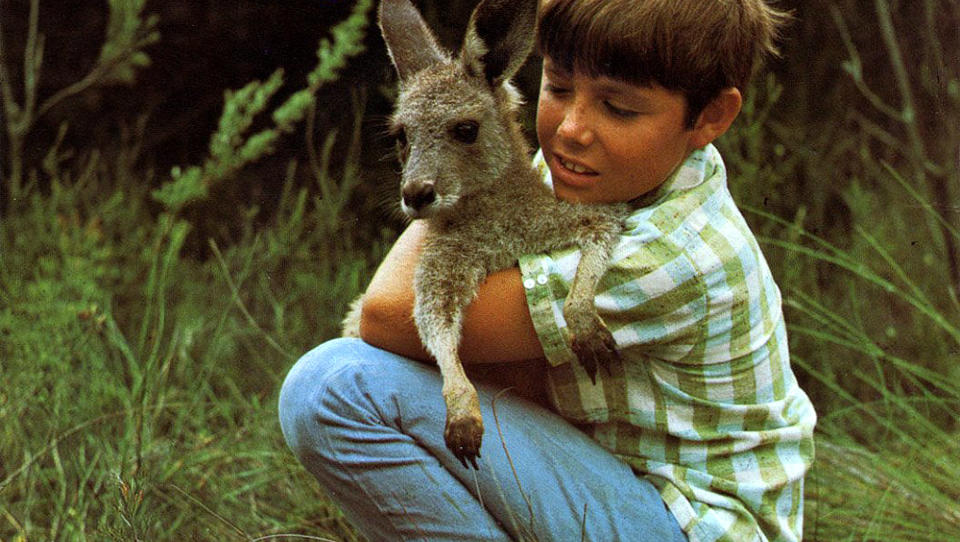 KENGURULYKKE: John McCallum, mannen bak tv-serien �Skippy the Bush Kangaroo�, er d�d, 91 �r gammel. Minst ni forskjellige kenguruer spilte hovedrollen gjennom de totalt 91 episodene. Her er en av dem avbildet med �eier� og f�lgesvenn Sonny, spilt av Garry Pankhurst.