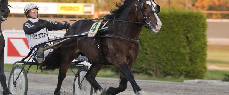 Trener og kusk har stor tro p� V75-triumf.