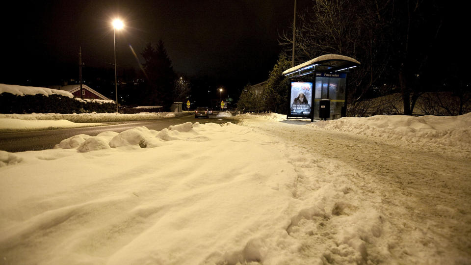 �STEDET: B�de h�rstr� fra Faiza og interessante fotspor like ved ble funnet av politiets krimteknikere etter kidnappingen i H�vik.