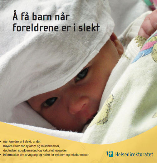 R�DGIVNING: Det nye heftet fra Helsedirektoratet er oversatt til en rekke spr�k og retter seg prim�rt mot innvandrere i Norge. Faksimilie: Helsedirektoratet