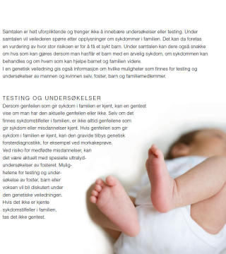SV�RT UVANLIG FOR ETNISKE NORDMENN: Blant etniske nordmenn er det f�rre enn 0.1 prosent som gifter seg med n�r slekt. Tallene er sv�rt mye h�yere i ulike innvandrergrupper og deres etterkommere. Faksimile fra Helsedirektoratets brosjyre