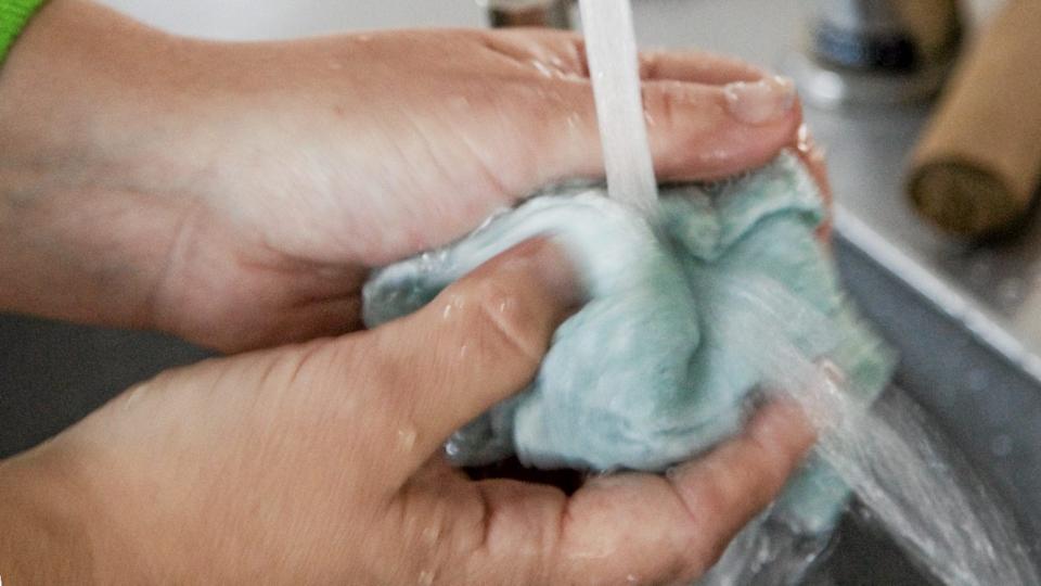 BAKTERIEPARADIS: Selv om vi skyller kluten skikkelig etter bruk, er gir den perfekt grobunn for bakterier. Men hvor ofte skal den byttes? Illustrasjonsfoto: Colourbox.no
