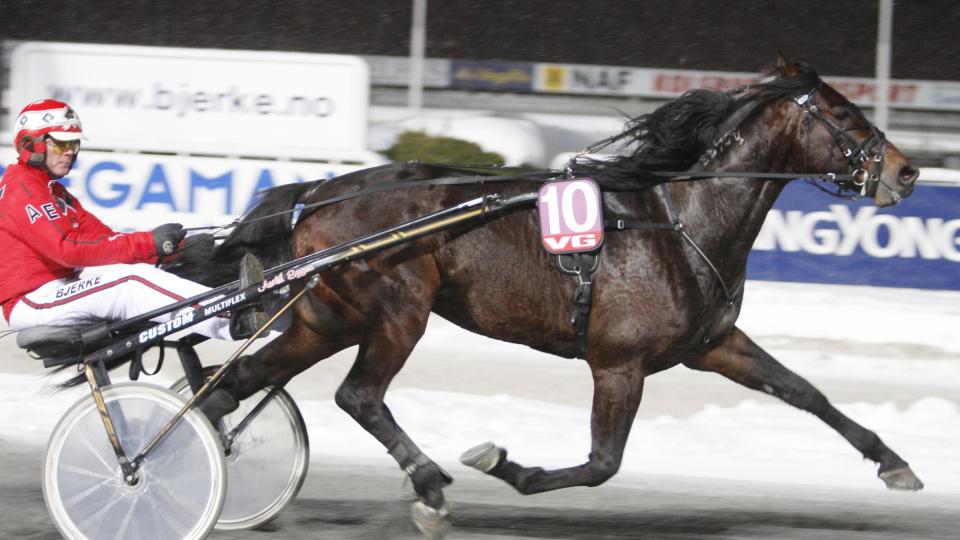 -EN KOMMENDE STJERNE. Trener, kusk og eier Arild Eggen har stor tro p� Beat The Wiz. B�de i l�pet onsdag og i tiden framover. Foto: HESTEGUIDEN.COM.