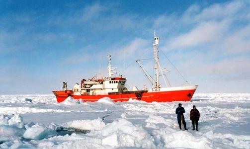 KRASS KRITIKK: Rederiet Polardrift AS og selfangstskuta Kvitungen er i hardt v�r etter en knusende rapport fra en selfangstinspekt�r. Foto: Polardrift AS