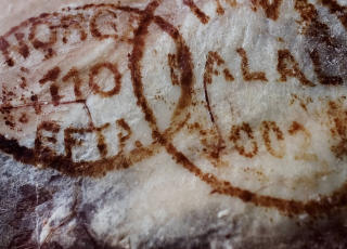 Godkjentstempel. Foto: Linda N�sfeldt