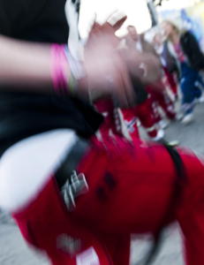 Ha snus i rumpa, lag smoothie av kebab og drikk den, ha sex med en l�rer