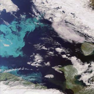 LIV: Bilder fra 2008 viser oppblomstring av plankton i Barentshavet. Foto: EPA/ESA/SCANPIX