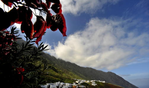 El Hierro  Veien g�r mellom vinmarker, bratte klipper og sm� landsbyer. Foto: John Terje Pedersen