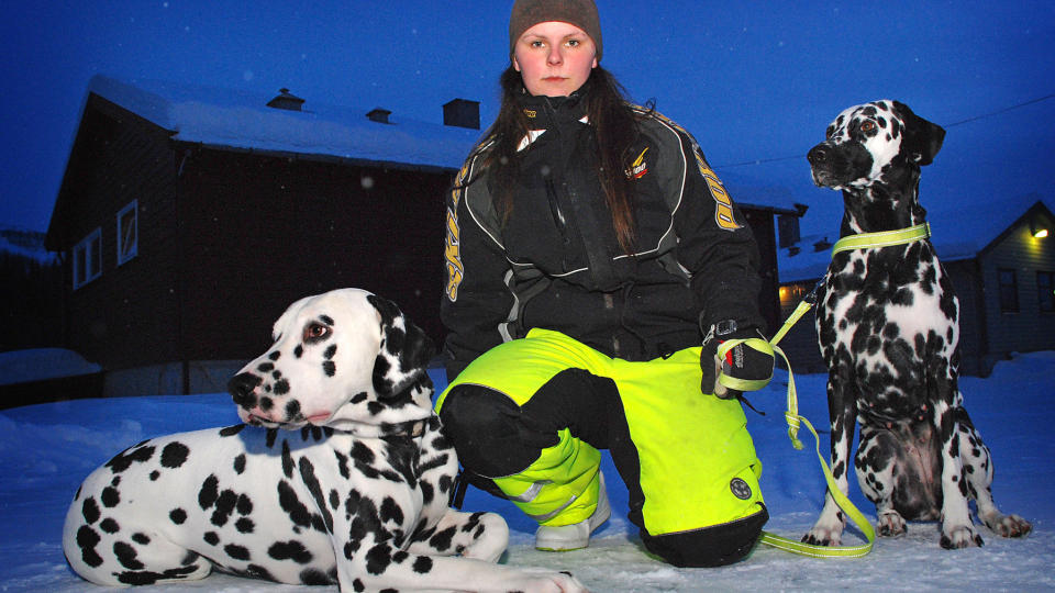 PLASSERT I GODSVOGNA: Anniken Berg (20) er sterkt kritisk til hvordan NSB behandlet henne og hundene hennes Aron (t.v.) og Kizzy. De ble vist bort fra kupeen de hadde bestilt billett p�, og m�tte sitte flere timer p� metallgulvet i ei iskald godsvogn. Foto: Erik Veg�rd