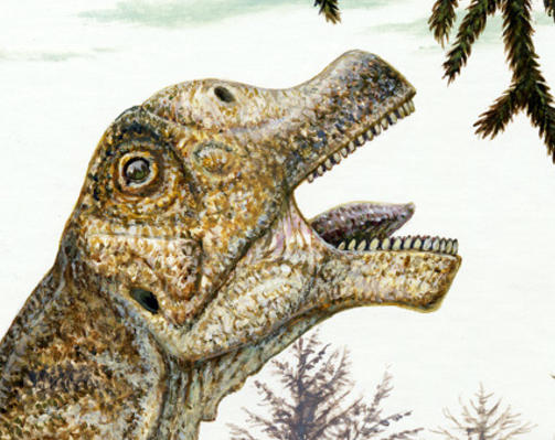 D�D: Fossiler av Abydosaurus mcintoshi ble nylig oppdaget i USA. Foto: MICHAEL W. SKREPNICK/SCANPIX