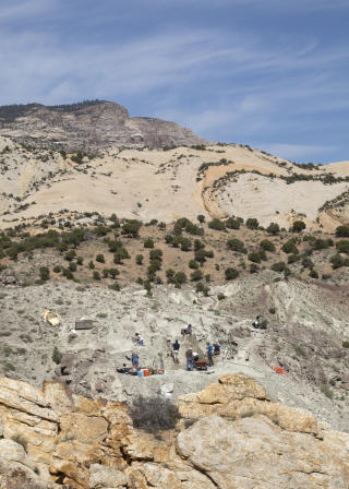 SPRENGTE UT DINO: Fossilene ble oppdaget i Dinosaur National Monument i �st-Utah. Sandsteinsgrunnen var s� hard at deler m�tte sprenges opp. Foto: Brigham Young University
