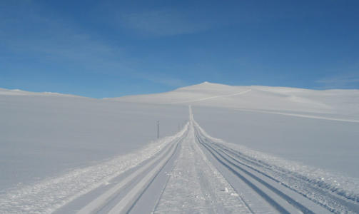 OPPDAL: P� sporet mot Bl�oret.
Foto: Jon Strand, Oppdal.