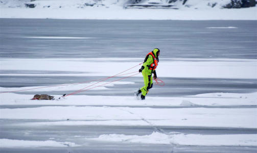 TOK MED SEG BYTTET: Vornes slep med seg Bambi tilbake til b�ten. Foto: Jonny Olsen