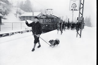 LA I VEI: Kong Olavs m�l var Voksenkollen og skil�ypene der. 
Foto: ODD WENTZEL/Dagbladet