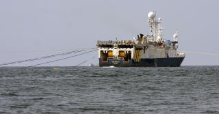 OMSTRIDT:Fiskere mener fortsatt at seismikk skader og skremmer fisk og fiskelarver. Foto: SCANPIX.