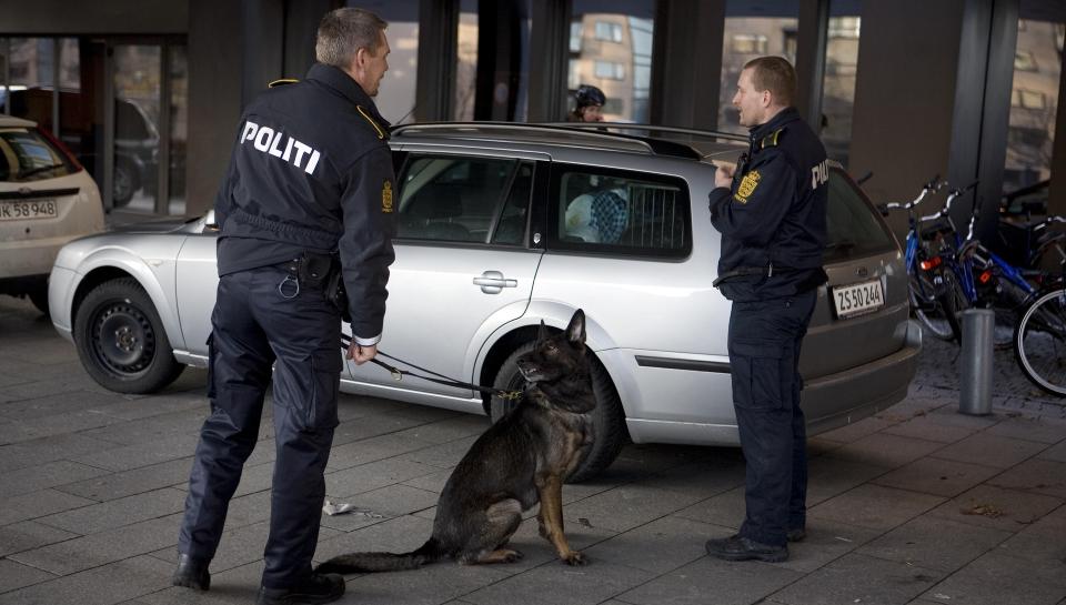 S�K: Politi gjennoms�ker omr�det rundt hotellet med hunder. Foto: SCANPIX