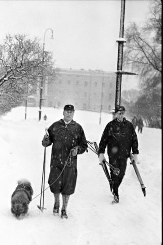 MED SKIUTSTYR OG HUND: Kong Olav p� vei til t-banen i desember 1973. 
Foto: ODD WENTZEL/Dagbladet