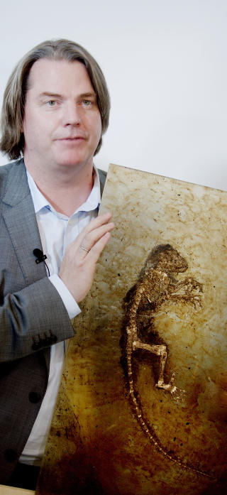 VISTE FRAM: Virveldyrpaleontolog J�rn Hurum fikk stor oppmerksomhet for fossilet, som han kj�pte for en stor sum fra en privat samler. Foto: Stian Lysberg Solum / SCANPIX