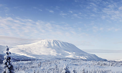 LEDER Gaustablikk har n� 210 cm sn�dybde og leder sn�dybdetoppen. Foto: Ole C. H. Thomassen