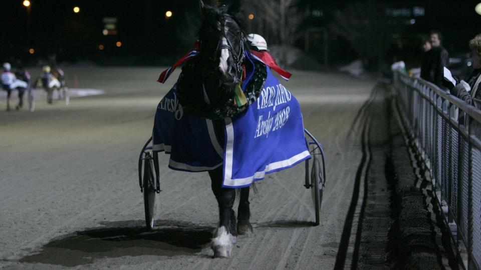 SEIERSVANT. �sajerven er vant til � vinne viktige travl�p. L�rdag er han storfavoritt i V75-1 p� Forus travbane. Foto: HESTEGUIDEN.COM.