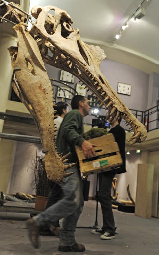 OM NOM NOM: Vi skal v�re glade for at dinosaurene d�de ut, da det ga pattedyrene mulighet til � ta over jorda. Dette er skjelettet til en Spinosaurus - den aller st�rste av kj�tteterne. Kjennere vil huske at den gjorde kort prosess med en Tyrannosaurs rex i filmen Jurassic Park III. Foto: Reuters/SCANPIX