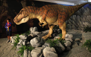 DINOKJENDIS: Tyrannosaurus rex. Foto: REUTERS/Nicky Loh/SCANPIX