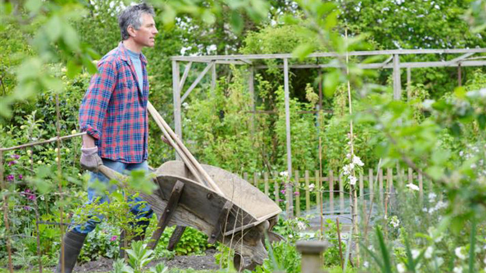 VILTVOKSENDE: Den viktigste hagetrenden i Norge i 2010 blir den naturlige, viltvoksende hagen. Global Garden Report