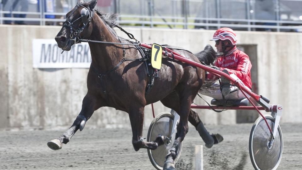 FLYR MOT TETEN. Chippon og Olav Mikkelborg er p� favorittjakt i V65-omgangen p� Bjerke onsdag. Foto: HESTEGUIDEN.COM.