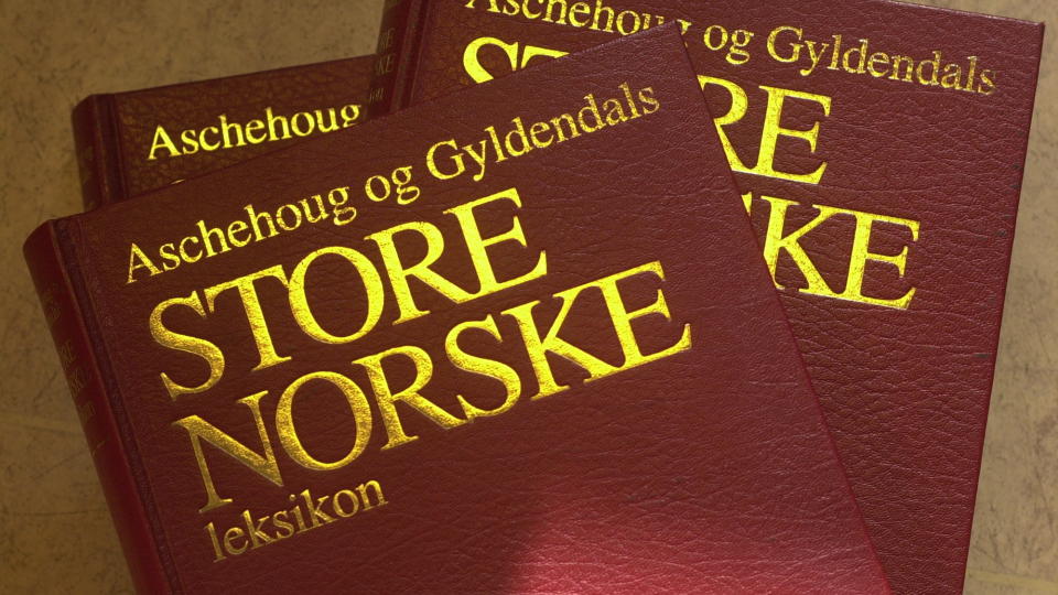 GIR OPP: Forlagene gir n� opp Store norske leksikon. Foto:  MARTINSEN/TOM Dagbladet
