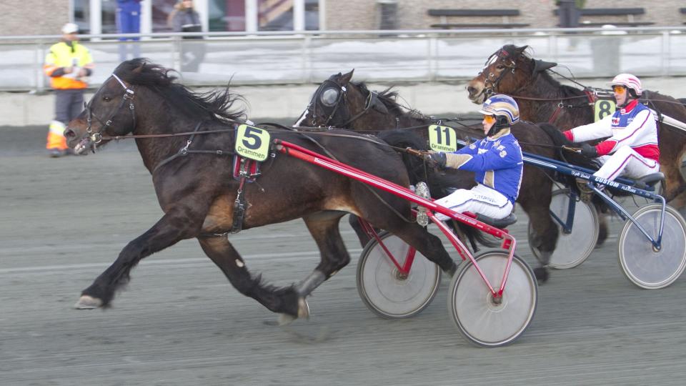 SIKKER P� SEIER. Tom Erik Solberg pleier ikke � ta feil n�r han sier han skal vinne et l�p. N� er det Frigg Elden p� l�rdag. Foto: HESTEGUIDEN.COM.