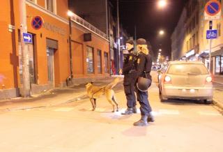 Foto: Truls Grande/FirstFoto