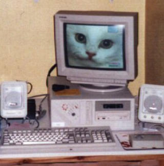 LEKKERT:  Slik s� det en gang ut rundt pc-en. Foto fra fra btinternet.com