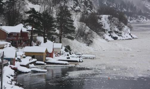 FEIDE BORT TR�RNE: Et �yenvitne forteller at tr�rne knakk som fyrstikker. Foto: ERLEND S. AARFLOT