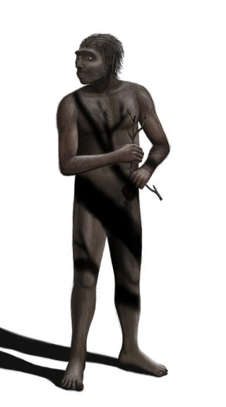 VANDRET UT AV AFRIKA: Homo erectus oppsto for rundt to millioner �r siden. Forskerne tror de brukte ild og laget redskaper. Illustrasjon av en mannlig utgave. Foto: WIKIMEDIA