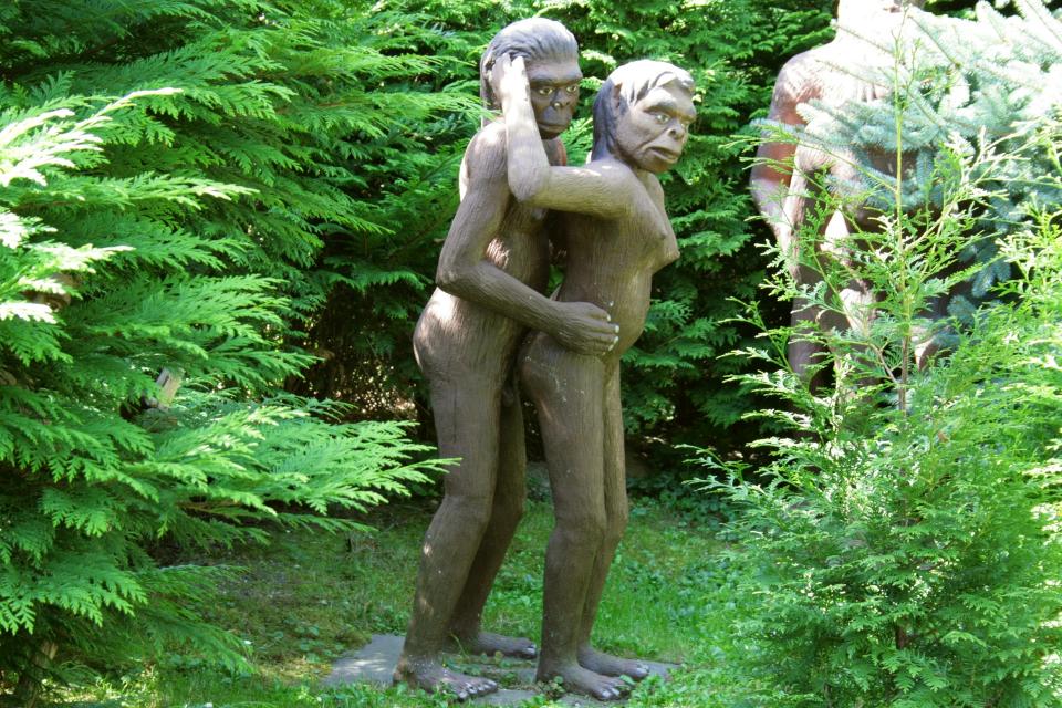 STEINALDERSEX: Scener fra dagliglivet til Australopithecus, en utd�dd slekt av f�rmennesker i en modellpark. Disse menneskeapene levde i Afrika etter at menneskets stamtre ble skilt fra sjimpansens, og er mest sannsynlige forl�per for v�r egen slekt Homo. Foto: WIKIMEDIA
