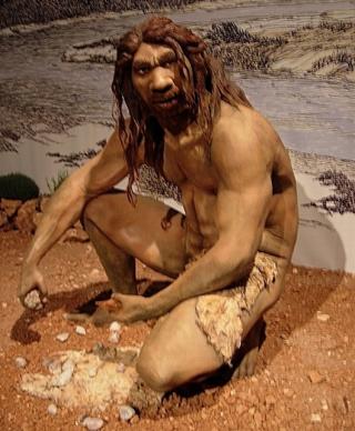 STAMFAR: Heidelbergmennesket hadde et stort kranium som ikke var s� mye mindre enn neandertalerne. Kraniet hadde store �yenbrynsben, lavt panneben og tykk hodeskalle. Foto: WIKIMEDIA