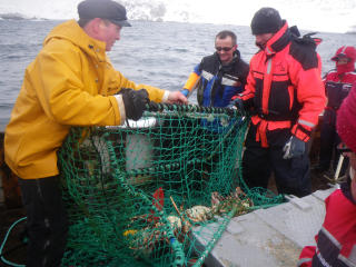 TURISTFISKE.  Nordic Safari Wildlife Adventures tar med turistene ut p� kongekrabbefiske i all slags v�r.