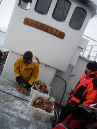  MEHAMN:  Det kan v�re godt � komme seg i havn. 40 kilo med kongekrabber var dagens fangst.