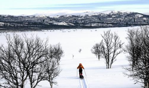 SKITUR: Blandingen av skog og h�yfjell gj�r Huldreheimen til et fjellomr�de med spennende og varierte turmuligheter. Andre Spica